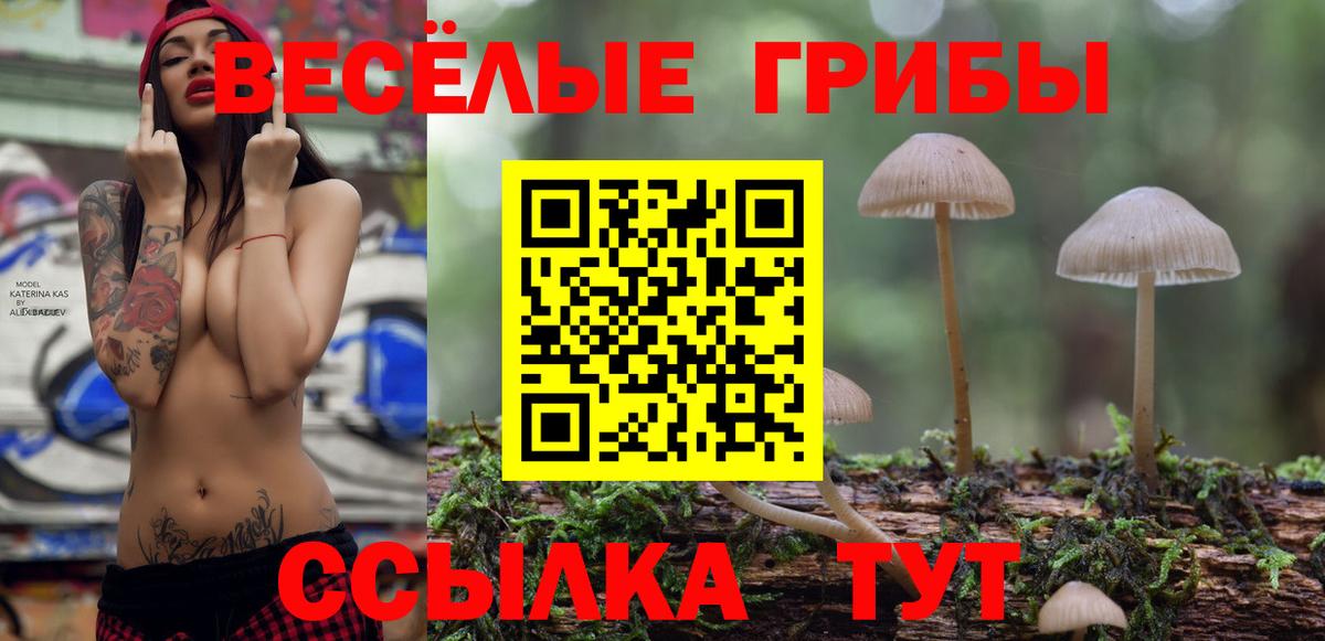 Нягань  Галлюциногенные грибы Psilocybine cubensis  Вход с VPN 