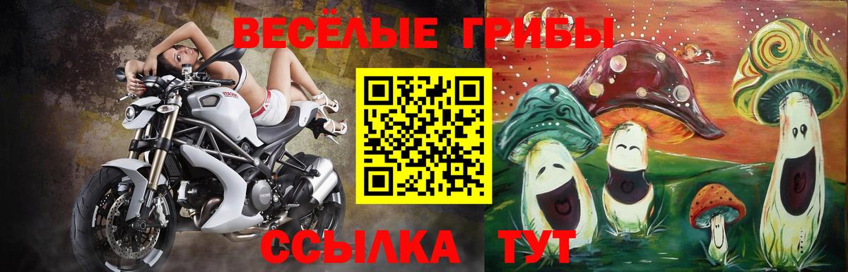 Галлюциногенные грибы Psilocybine cubensis Нягань